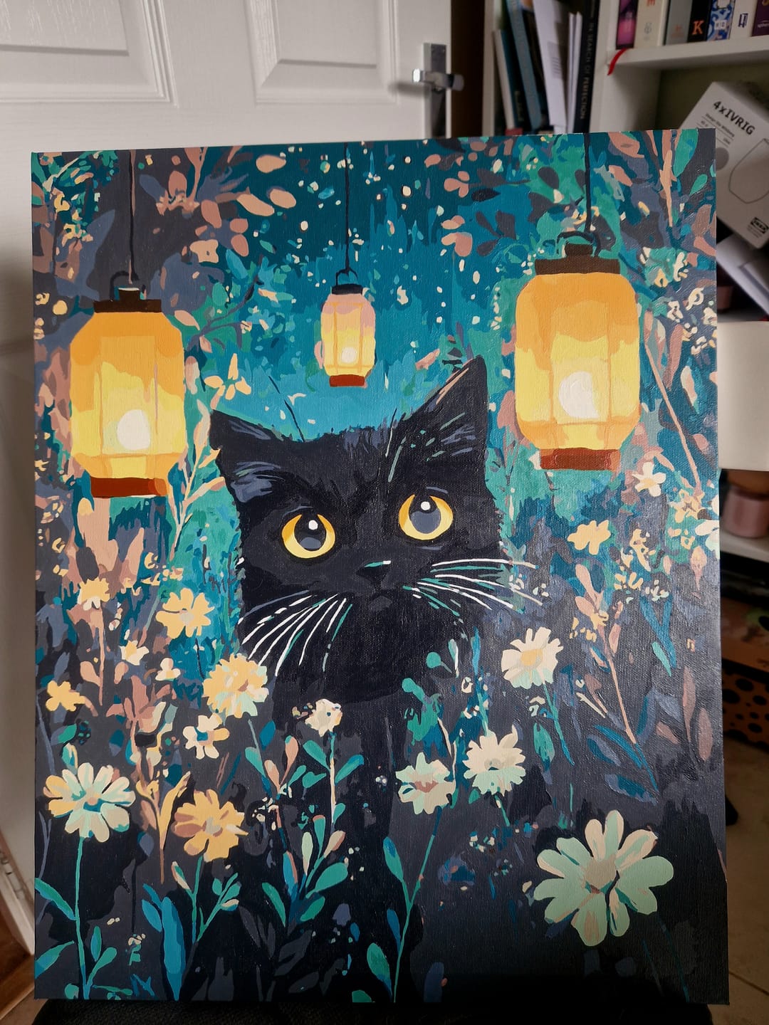 Customer photo review of Kitty Lights
