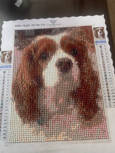 Customer photo review of Diamond Painting - Custom Photo