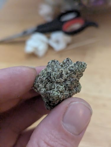 Customer photo review of Zkittlez Flower