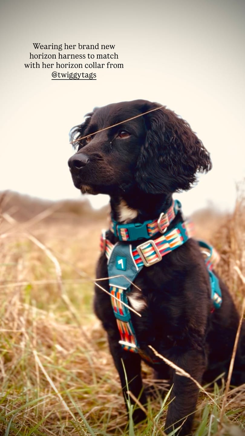 Customer photo review of Horizon Harness