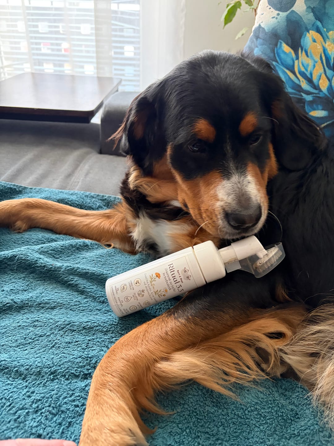 Customer photo review of Bert & Hugo Ritual 5.5 — Znanost za tačke in trebušček
