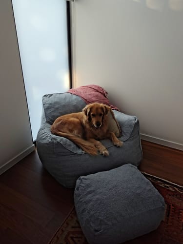 Customer photo review of DODO LOUNGE CHAIR - BOUCLE SKY BLUE