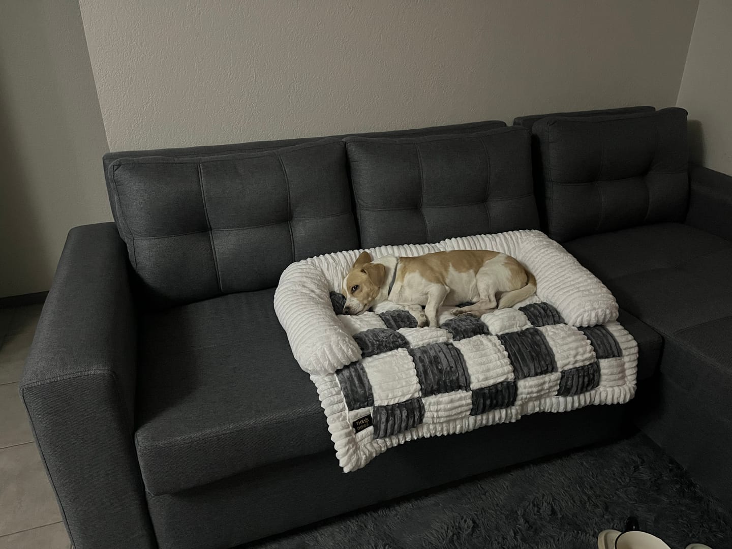 Customer photo review of Camita de Sillón Signature — Sofá impecable, regalón feliz