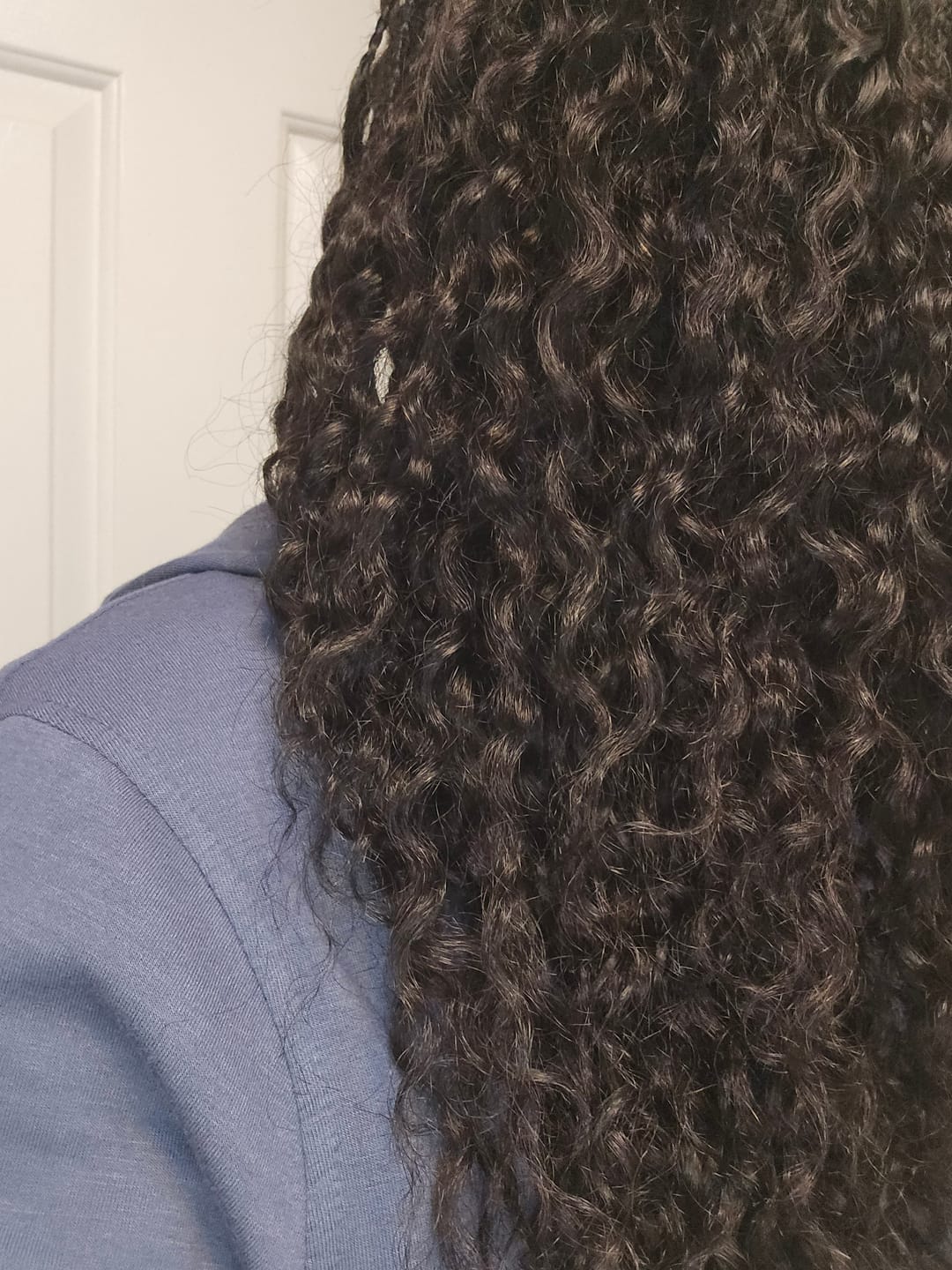 Customer photo review of Wet & Wavy Bulk Hair Extensions for Braiding