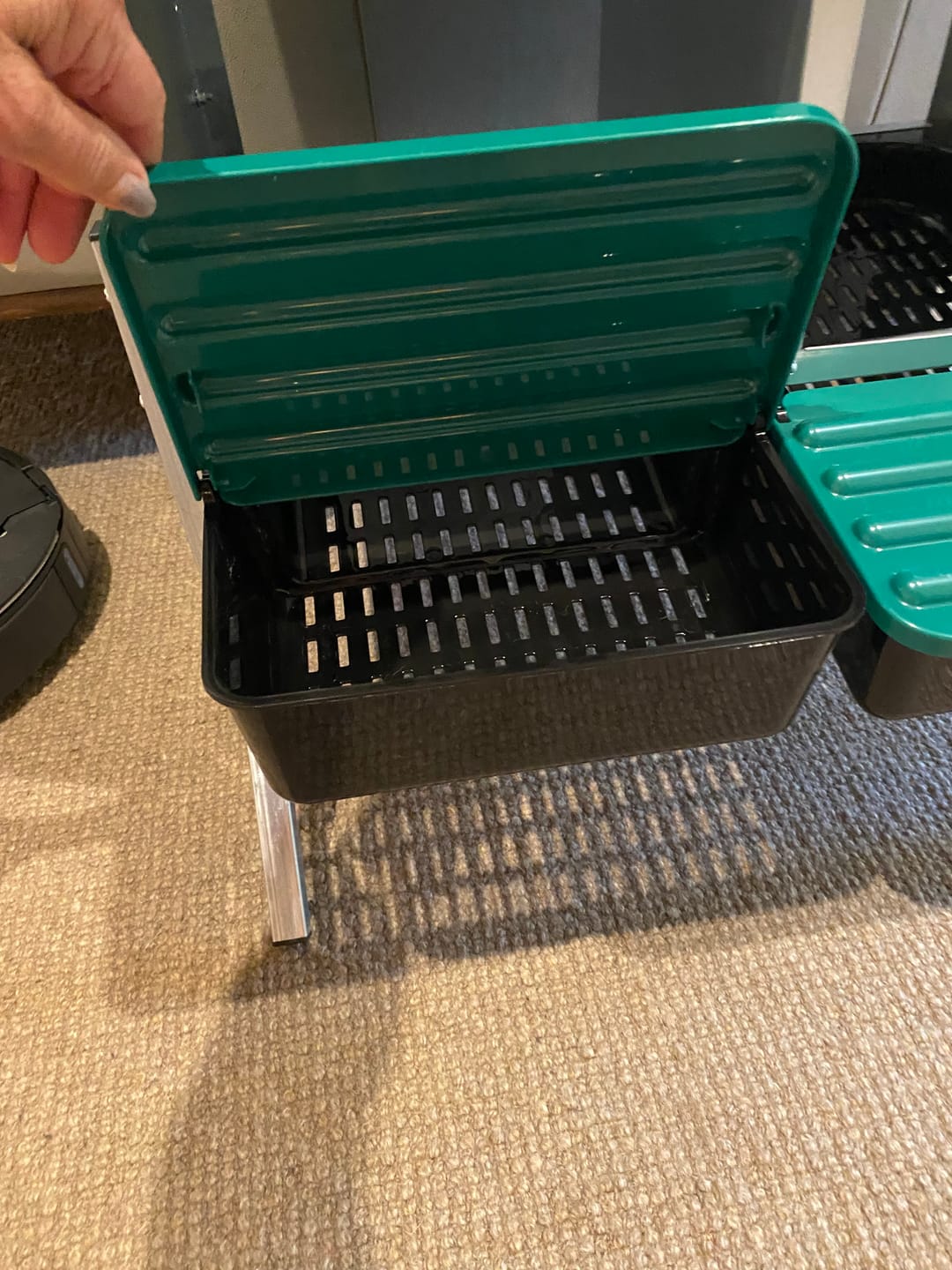 Customer photo review of Chicken Nesting Box Elevated Rollaway Laying Box 2 Compartment Green