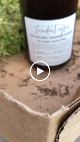 Customer video review of Anaerobic Washed Gesha by Yeni Anacona, Hulia Colombia