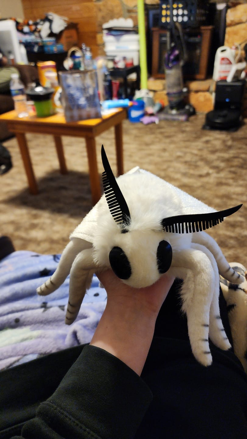 Customer photo review of Fall Webworm Moth Soft Stuffed Plush Toy