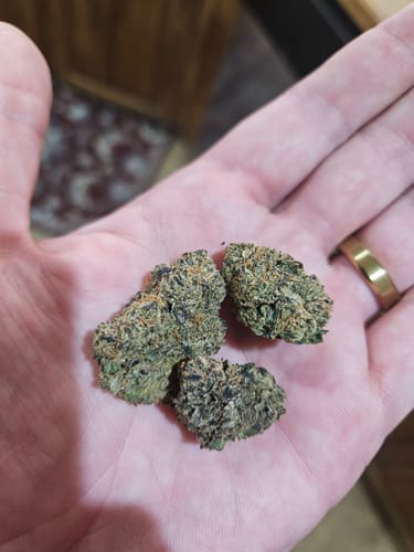 Customer photo review of Bubblegum Crusher