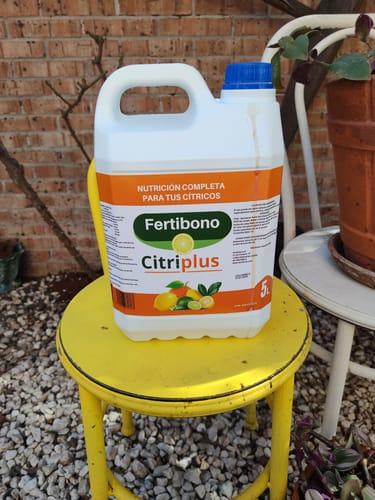 Customer photo review of Fertibono CitriPlus: Abono Cítricos, (5L), Rico en Hierro, Zinc, Calcio,Manganeso, Magnesio, AminoAcidos y NPK - Abono Plantas, Ecológico, Residuo Cero