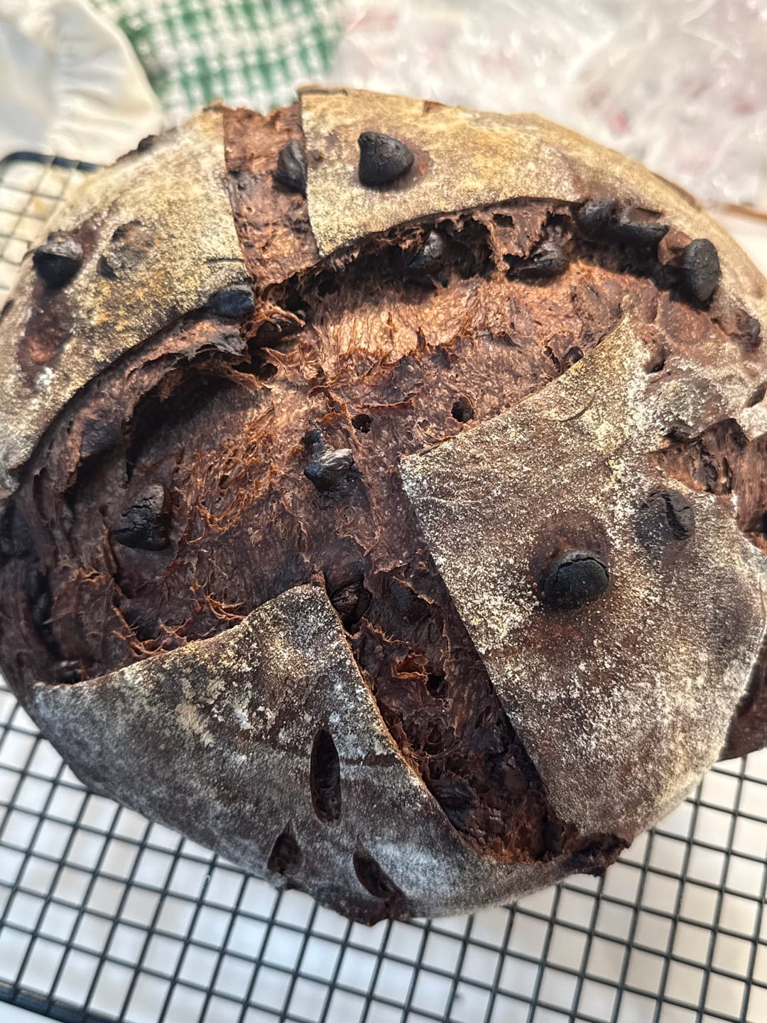 Customer photo review of Live 119 Year Old Valrhona CHOCOLATE Sourdough Starter Includes Maintenance PDF & Chocolate Noir Loaf Recipe