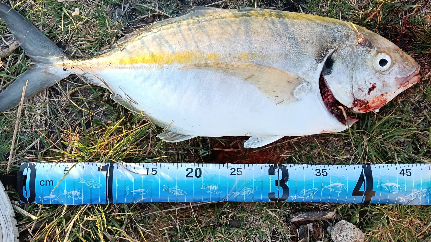 Customer photo review of Fishbites - E-Z Mullet Long Lasting