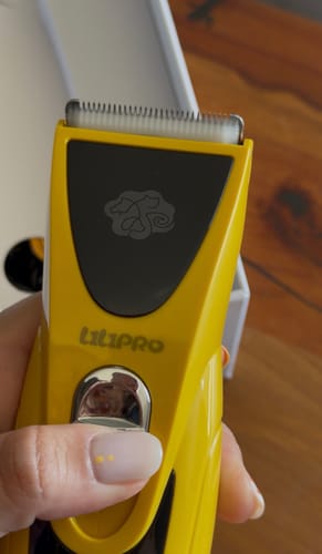 Reseña de Leonelly