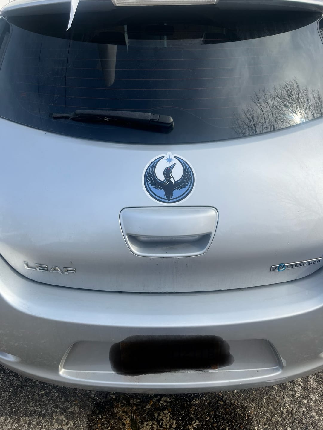 Customer photo review of Rebel Loon Sticker