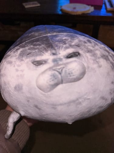 Customer photo review of Seal Soft Stuffed Plush Throw Pillow Cushion Toy
