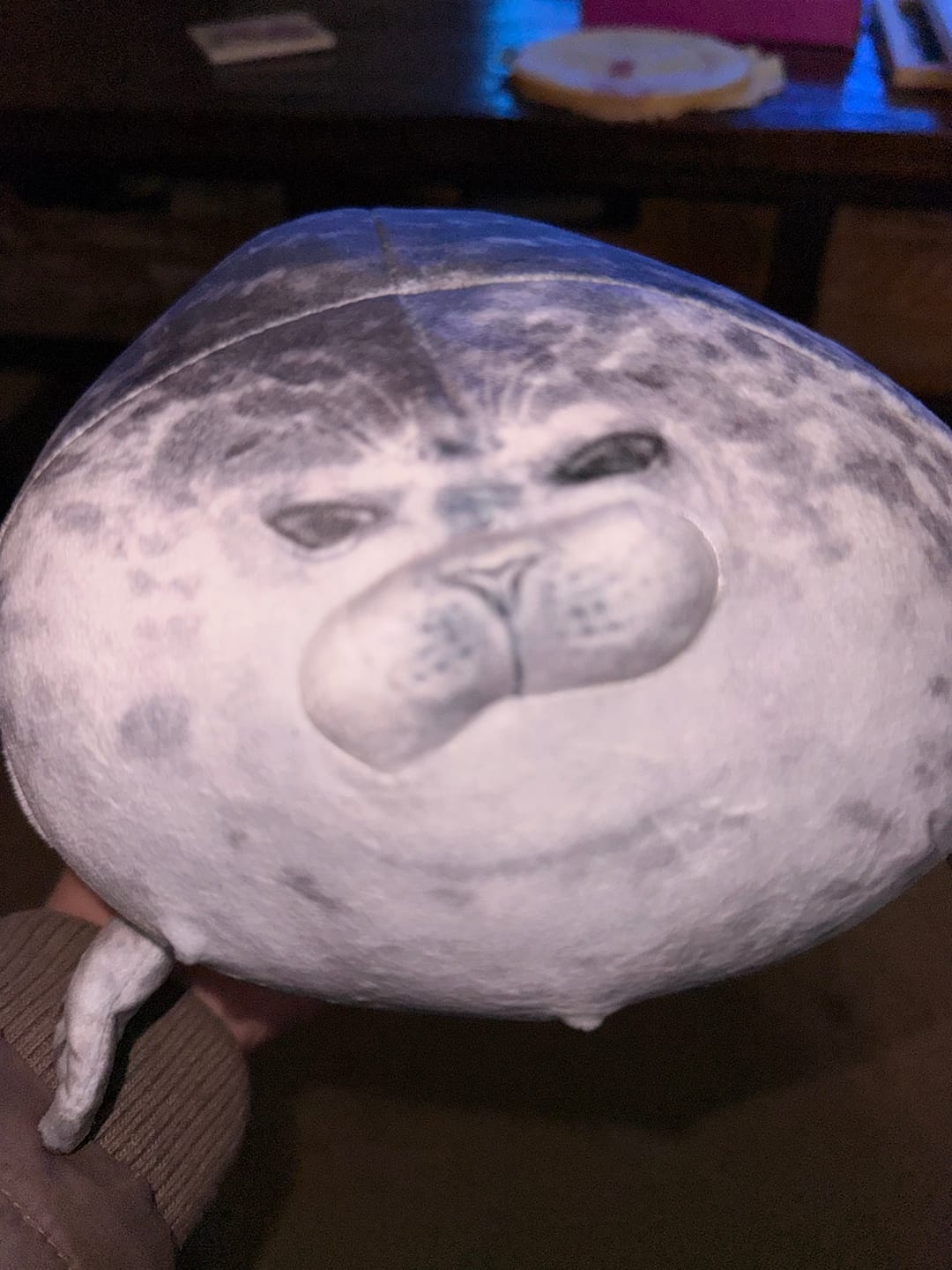 Customer photo review of Seal Soft Stuffed Plush Throw Pillow Cushion Toy