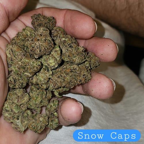 Customer photo review of Cheap Indoor THCA Flower Ounce