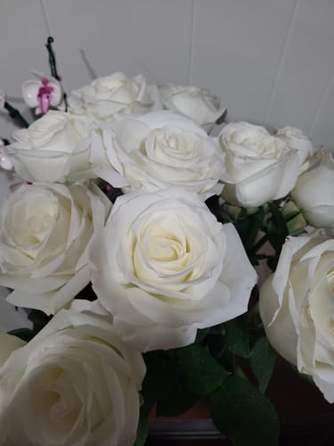 Customer photo review of Mount Everest White Rose