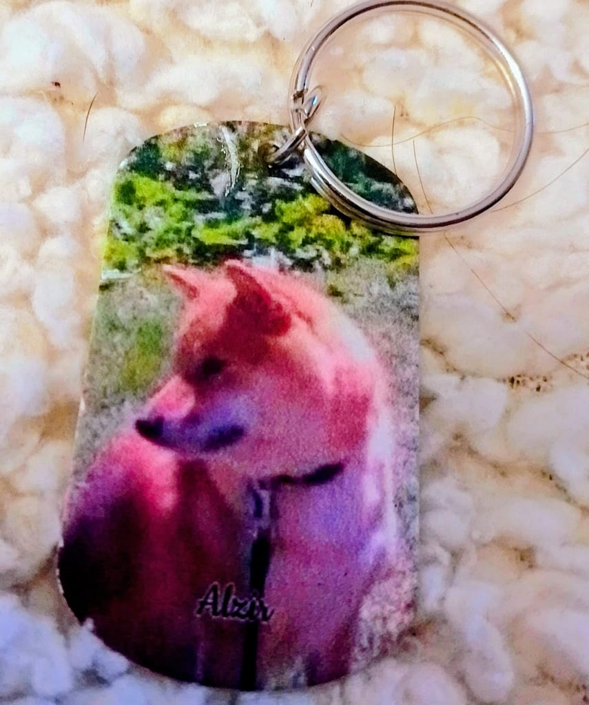 Customer photo review of Photo double face - Porte-clés Dog Tag personnalisé