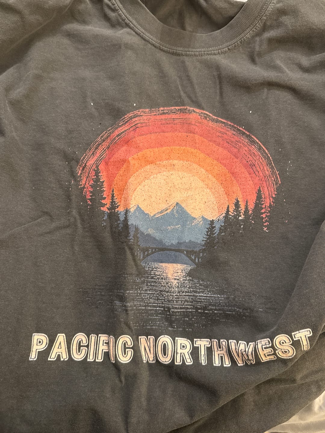 Customer photo review of Vintage Pacific Northwest Sunset T-Shirt