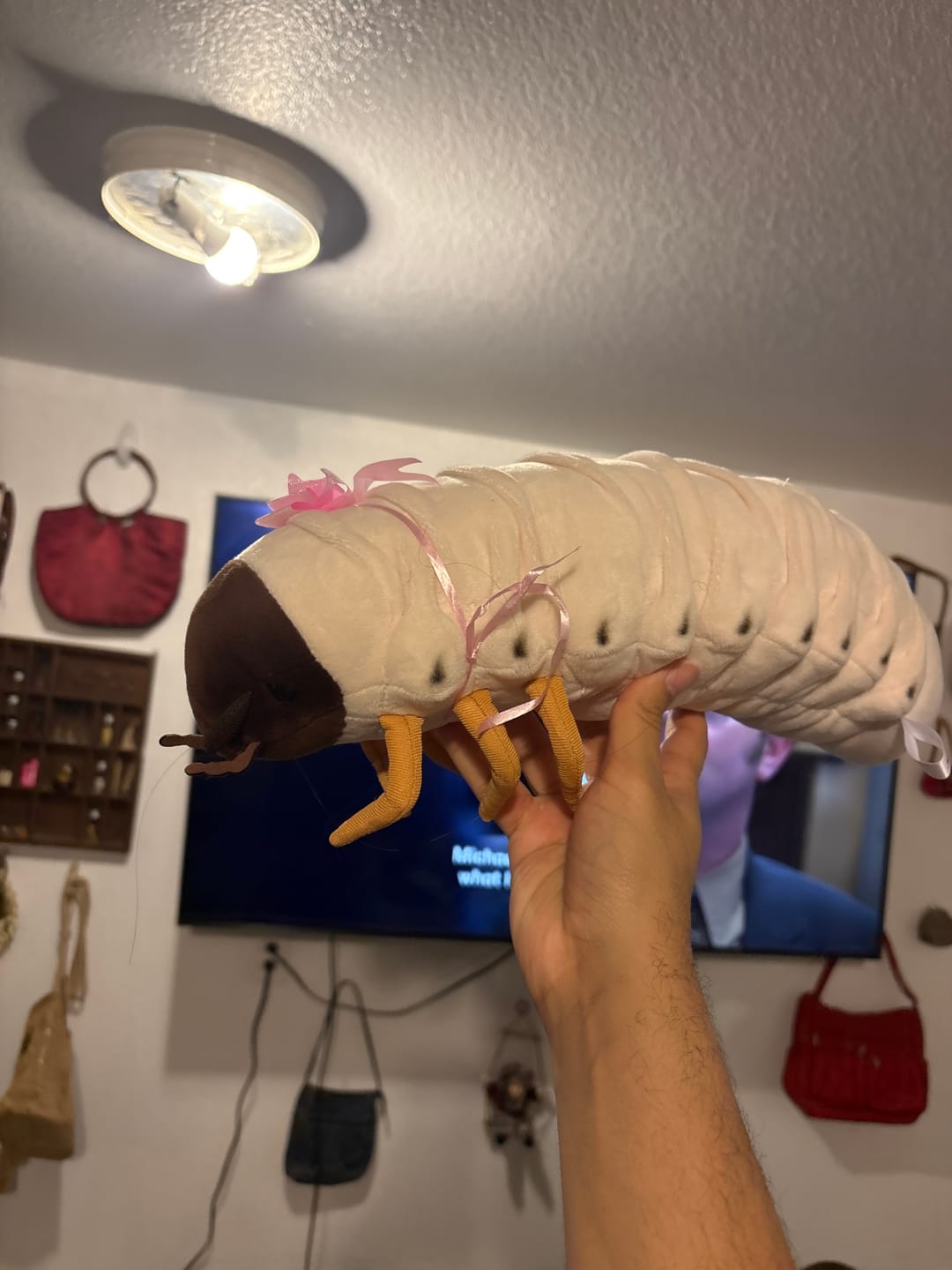 Customer photo review of Realistic White Grub Plush Toy – Lifelike, Soft, and Perfect for Bug Lovers