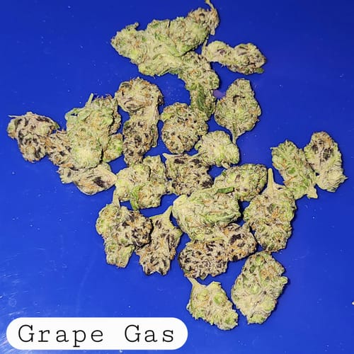 Customer photo review of Cheap Indoor THCA Flower Ounce