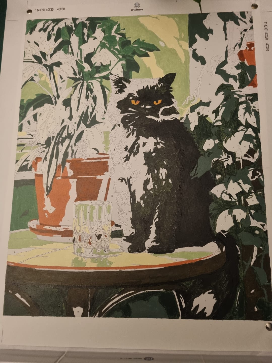 Customer photo review of Grumpy cat | Paint by Number