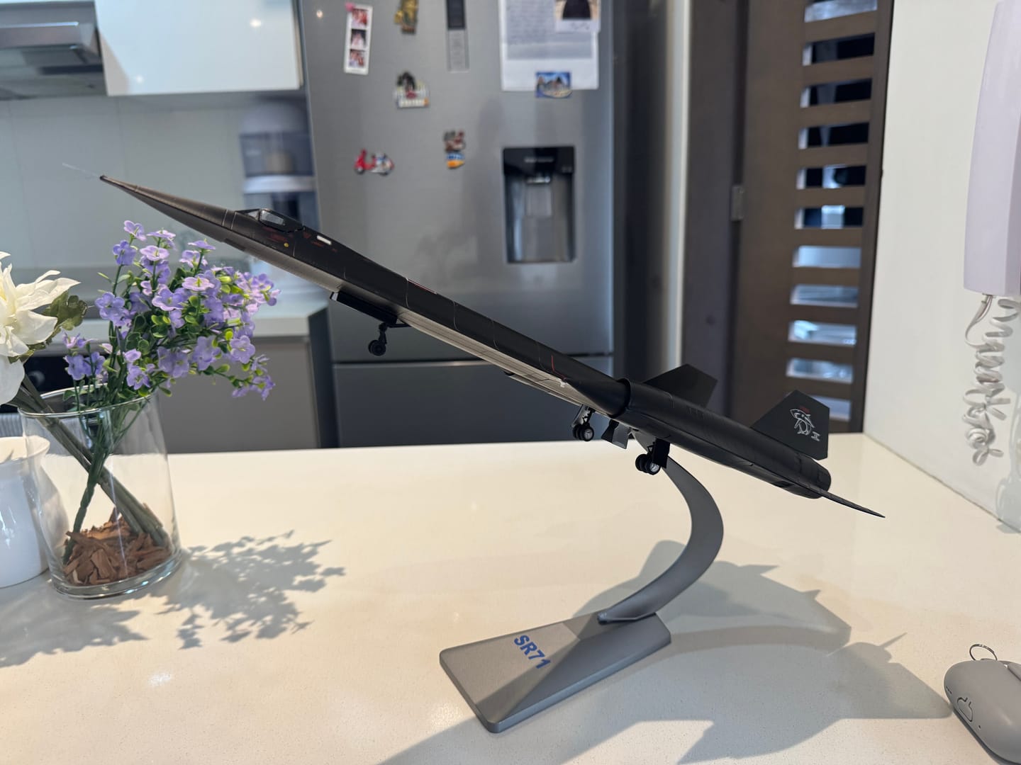 Customer photo review of SR-71A Blackbird United States Air Force - Scale 1:72 - 45CM -17.7in