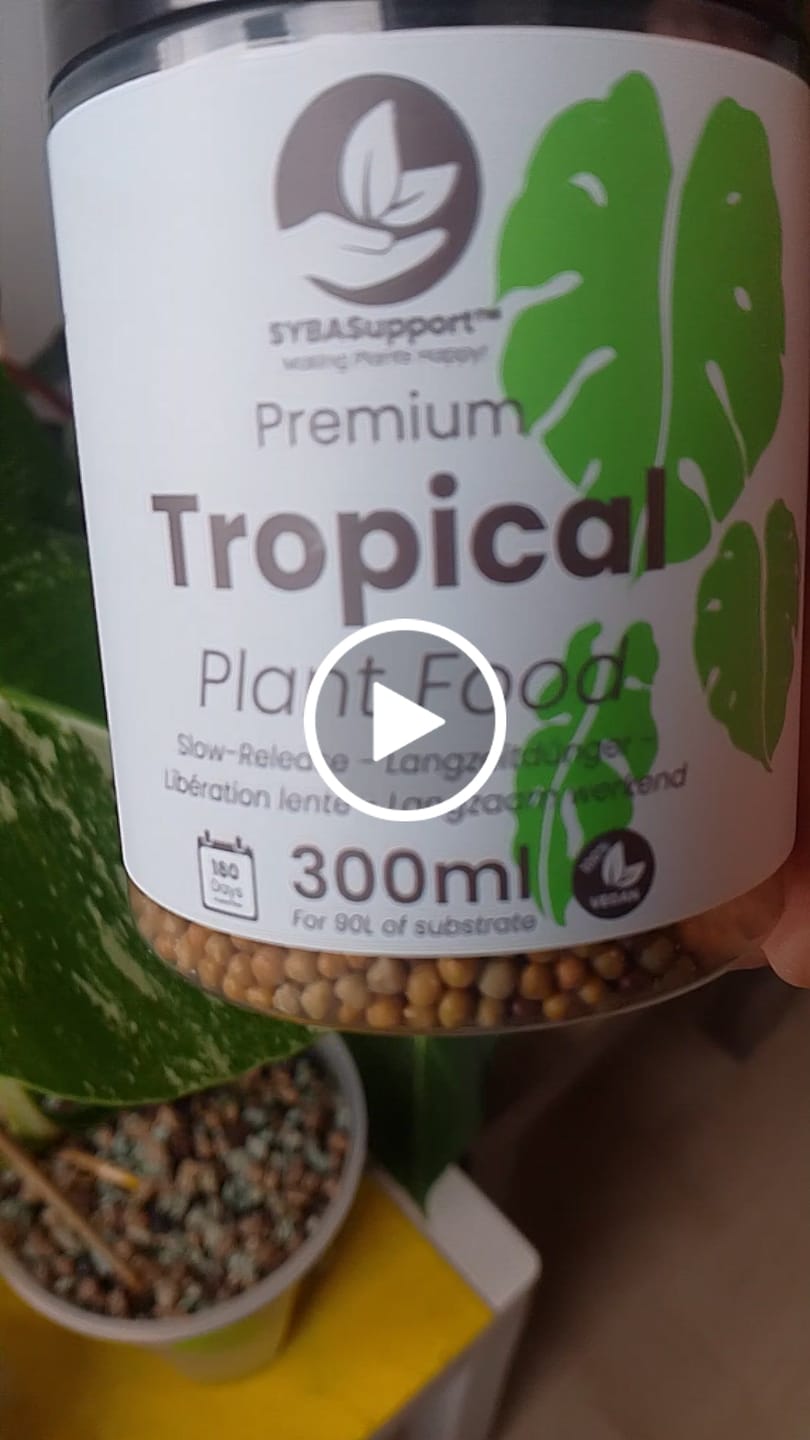 Customer video review of Tropical Slow-Release Plant Food