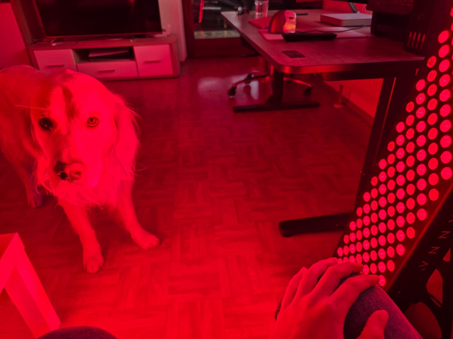Customer photo review of Koanna® Luma1000™ – Powerful, Mid-Size Red Light Therapy Panel