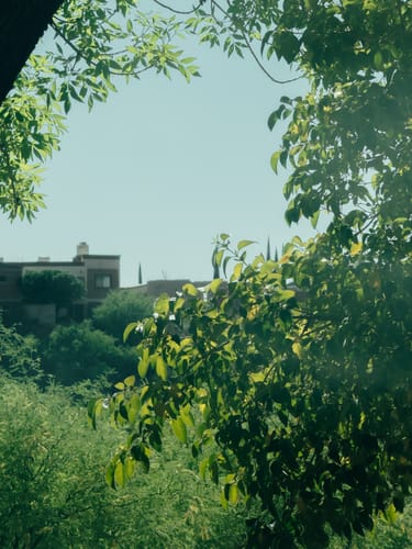 Customer photo review of MINI PRESETS PACK