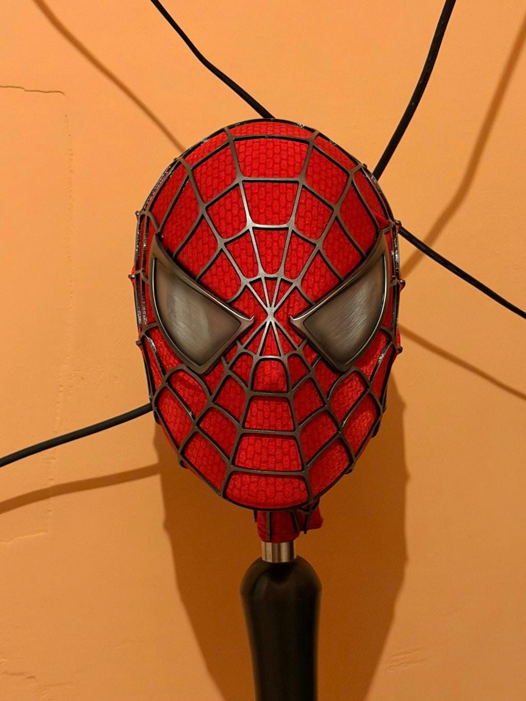 Customer photo review of Masque Spiderman - Tobey Maguire