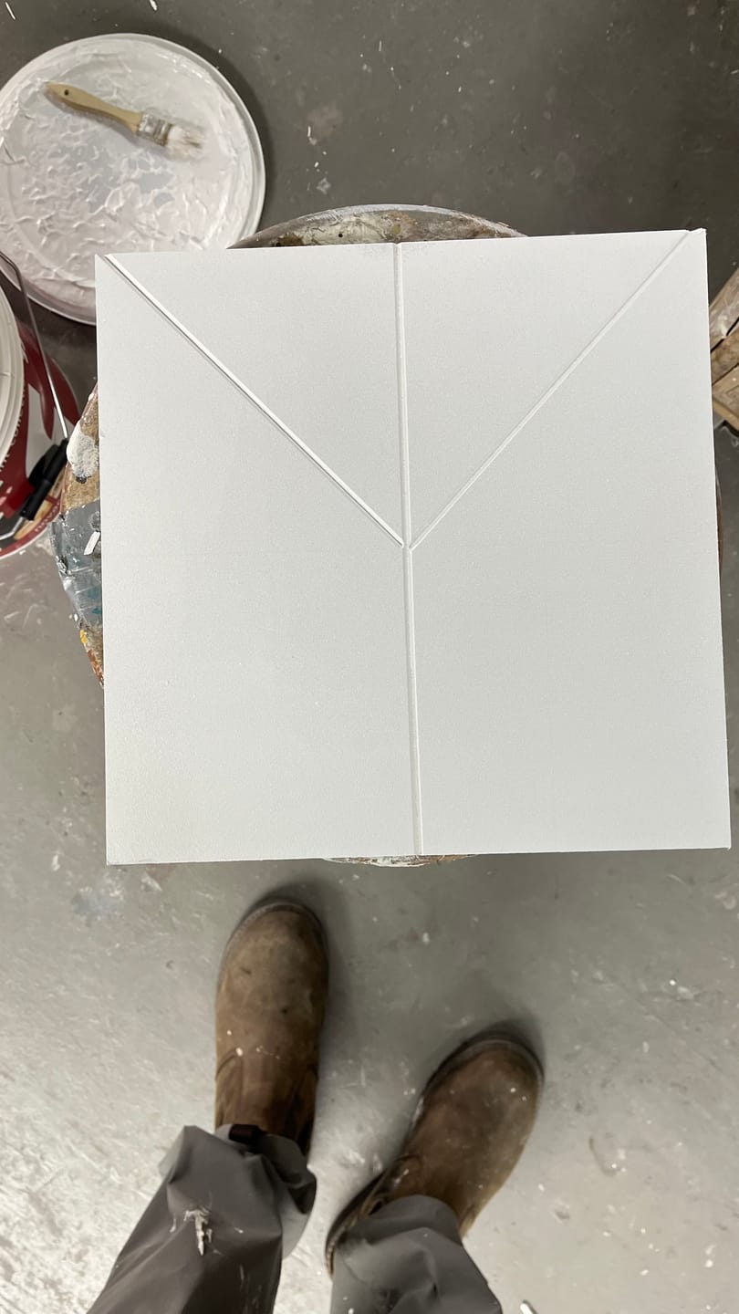 Customer photo review of Suede Paint