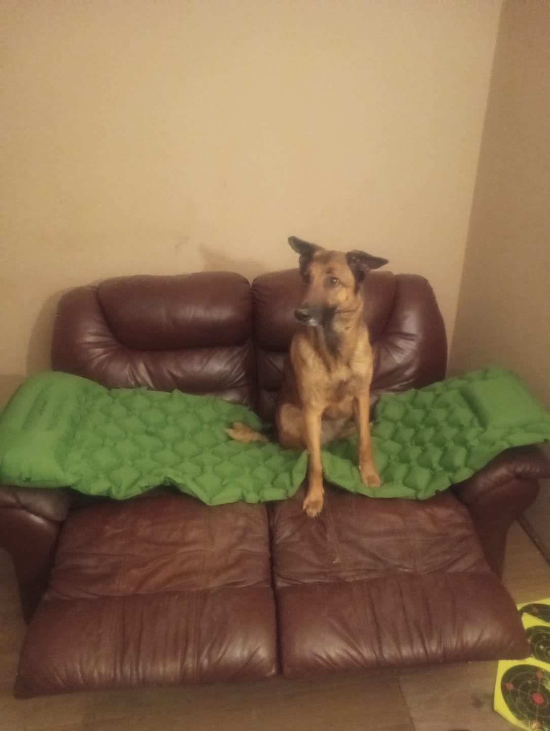 Customer photo review of Survival Mattress Set!
