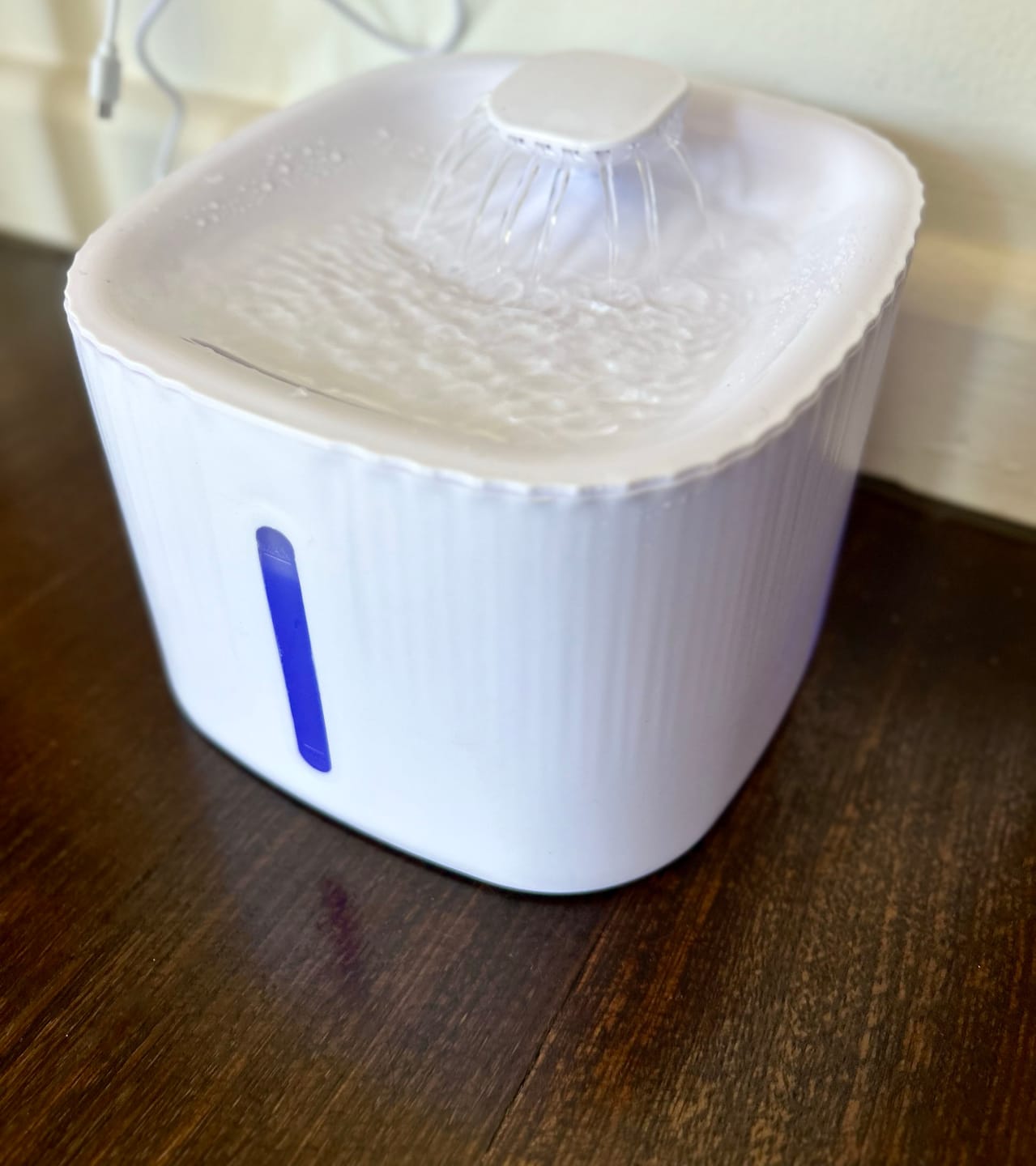 Customer photo review of Dog & Cat Water Fountain – Automatic Pet Drinking Dispenser