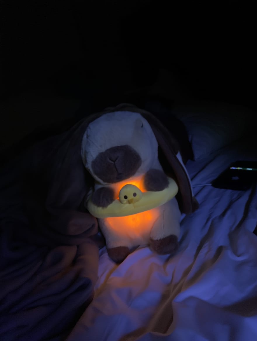 Customer photo review of Premium Breathing Anti-Stress Capybara