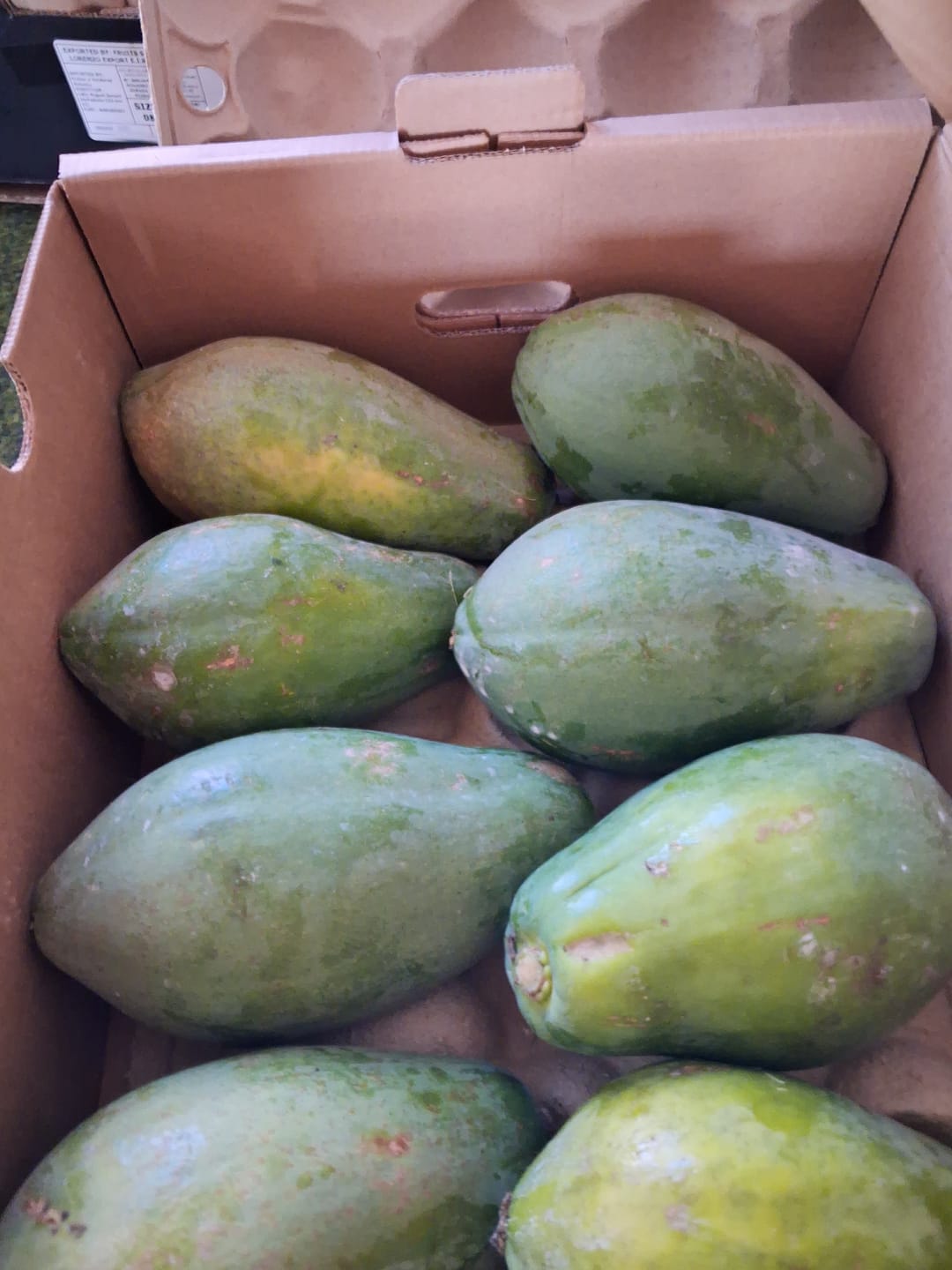 Customer photo review of Papaya Bio von Julian 4,5kg Box Sonderaktion %