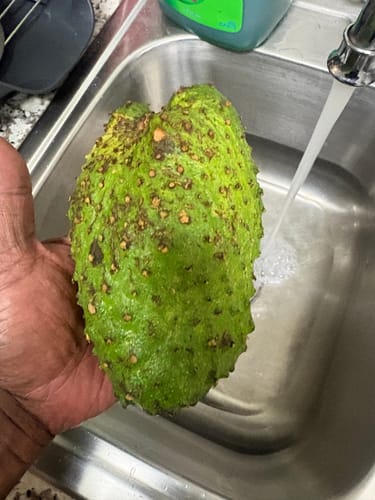 Customer photo review of Soursop