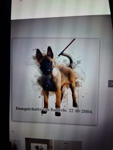 Customer photo review of Droomwassing Aquarel Tegel - Upload je eigen foto