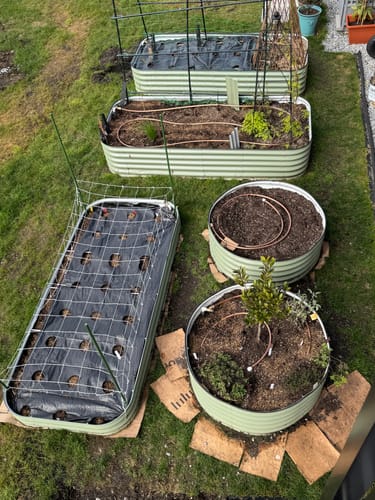 Reviewer's two green 17” Tall Large Round beds in a garden. One has a small tree and the other is filled with fresh soil.