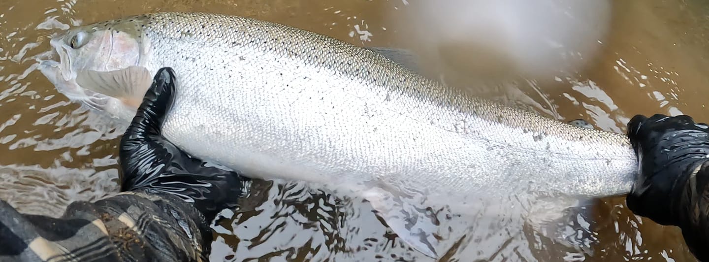 Customer photo review of Bead Hooks - Light Wire