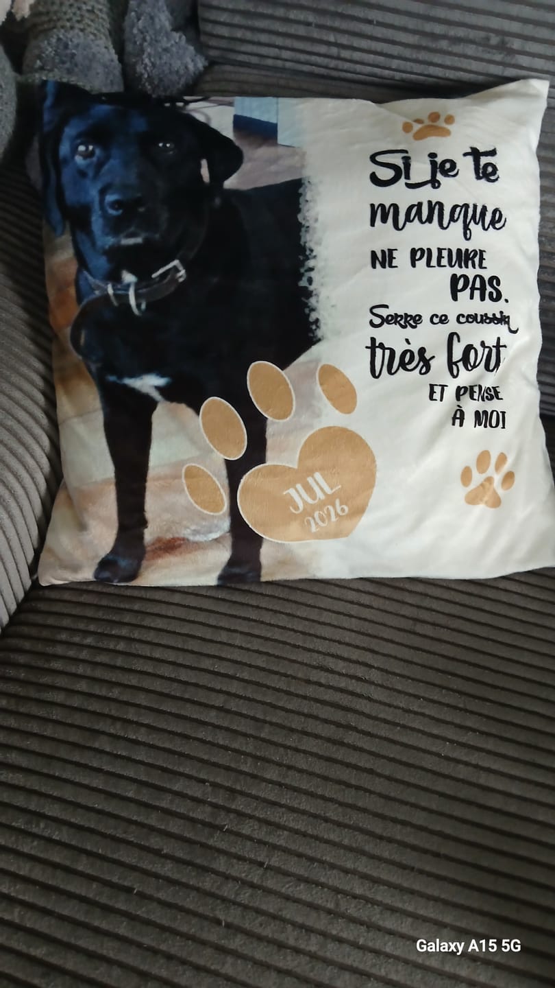 Customer photo review of Si je te manque - Coussin personnalisé