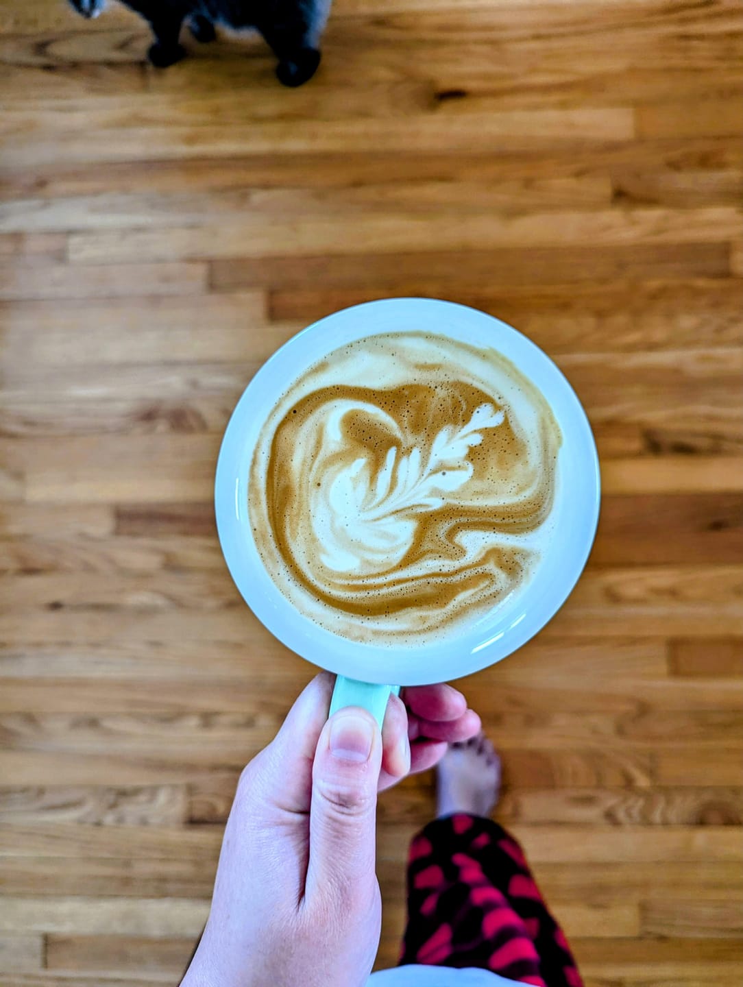Customer photo review of Iris Espresso