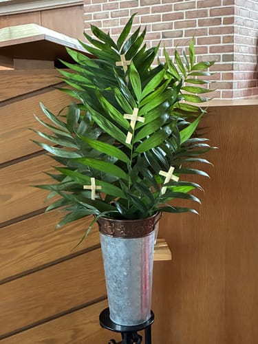 Customer photo review of Indian Mini Palm Crosses Pk of 50