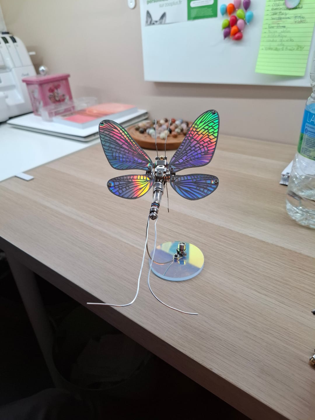 Customer photo review of Mayfly