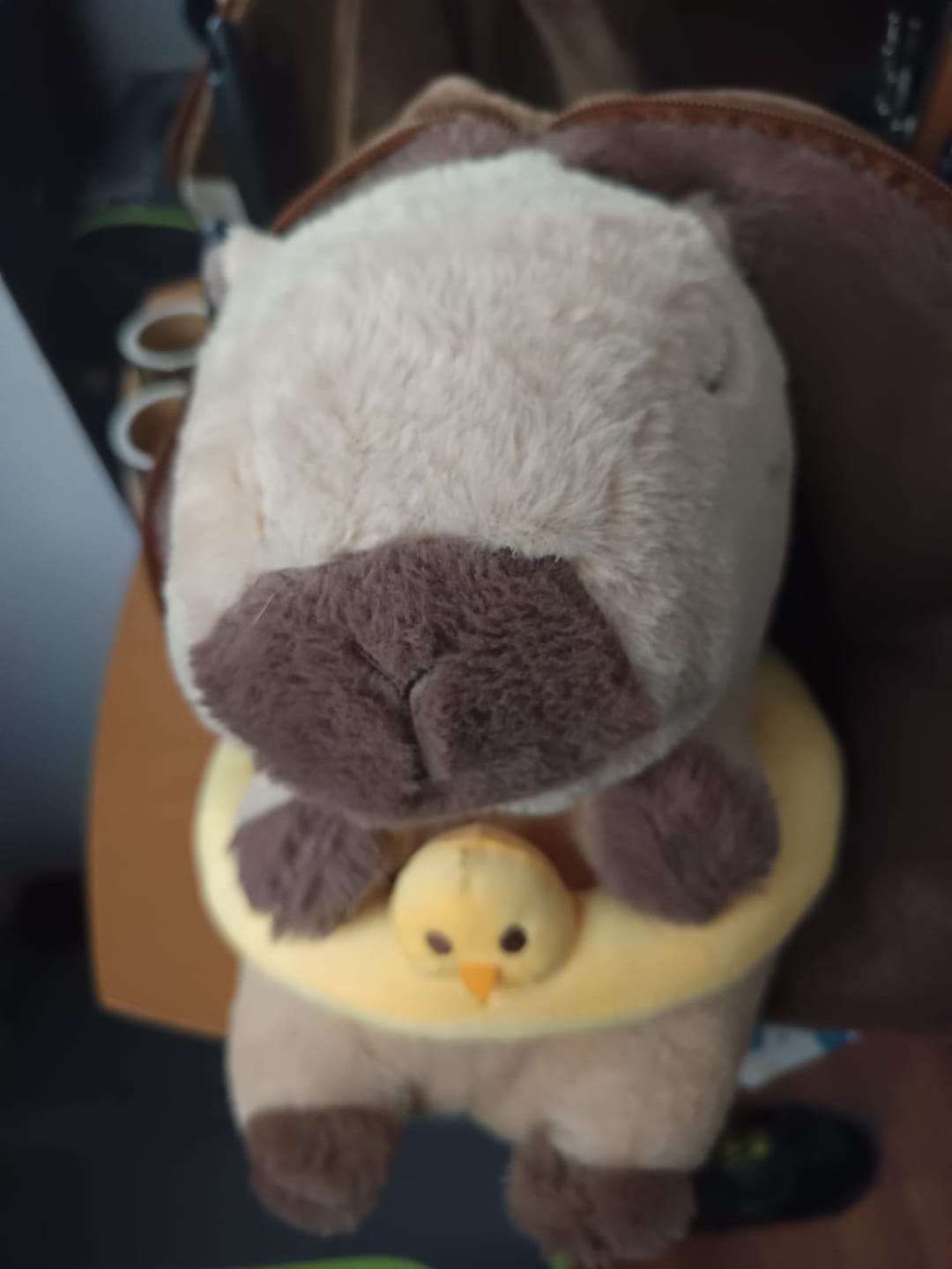Customer photo review of Premium Breathing Anti-Stress Capybara