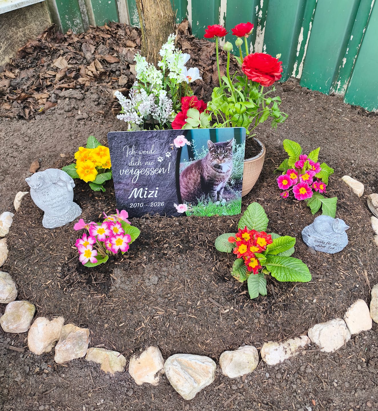 Customer photo review of Katzen Gedenktafel mit Foto & Spruch (UV- & Wetterfest)