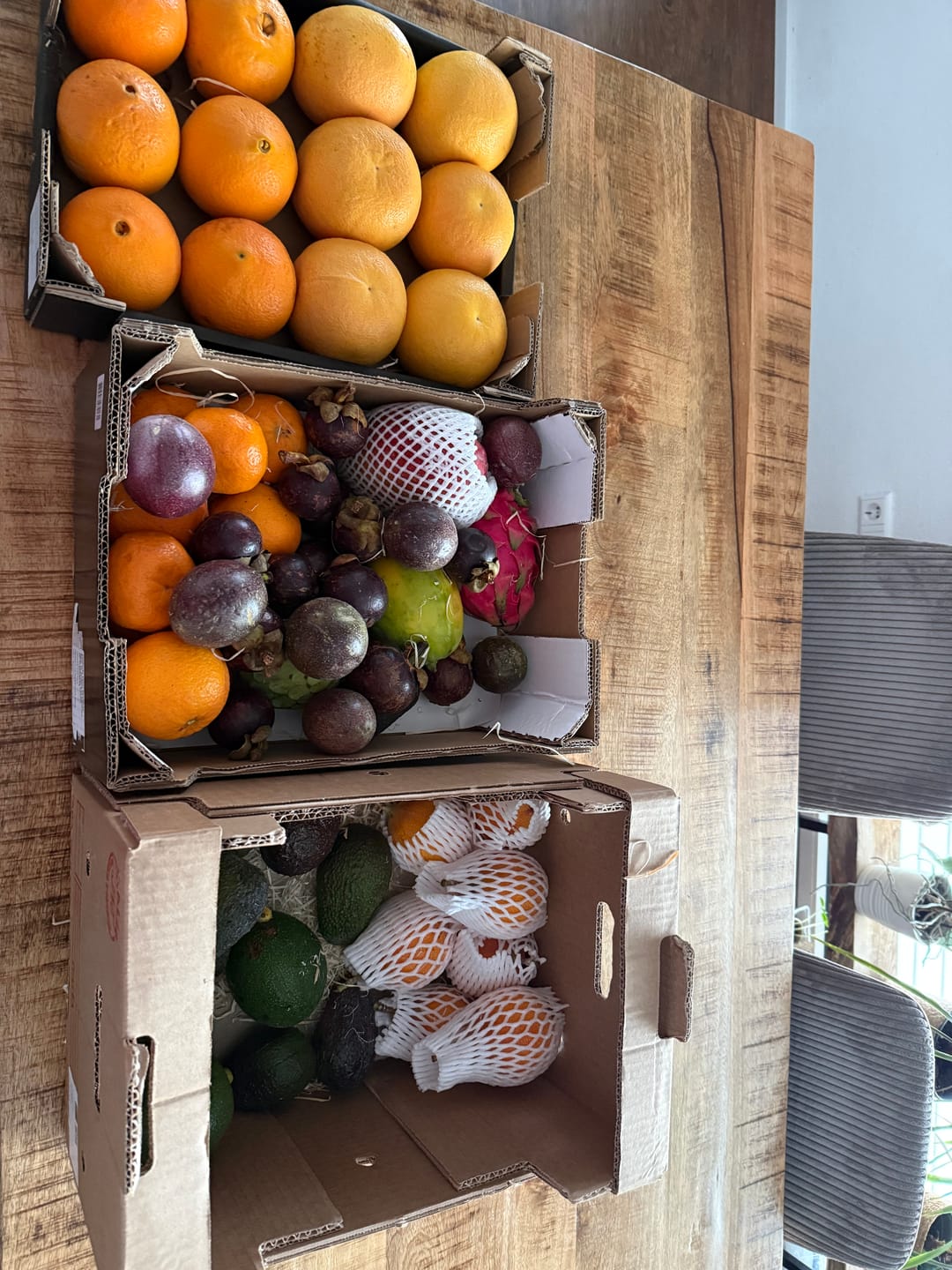 Customer photo review of Avocado Hass & Reed 12 Monate baumgereift von Julian