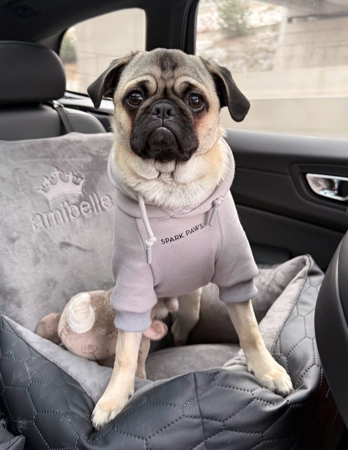 Customer photo review of Essential Dog Hoodie - Clay