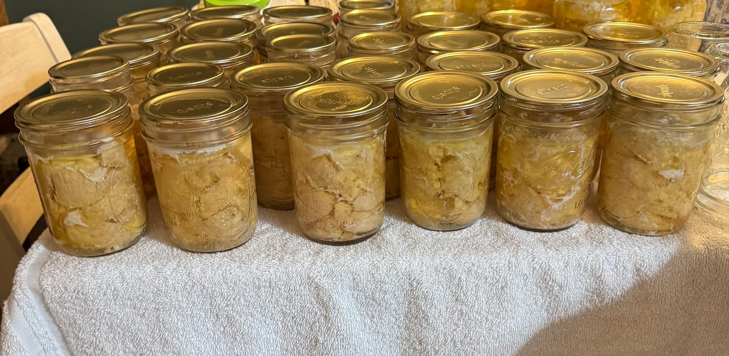 Customer photo review of Bulk Wide Mouth Canning Lids – 156 Pack