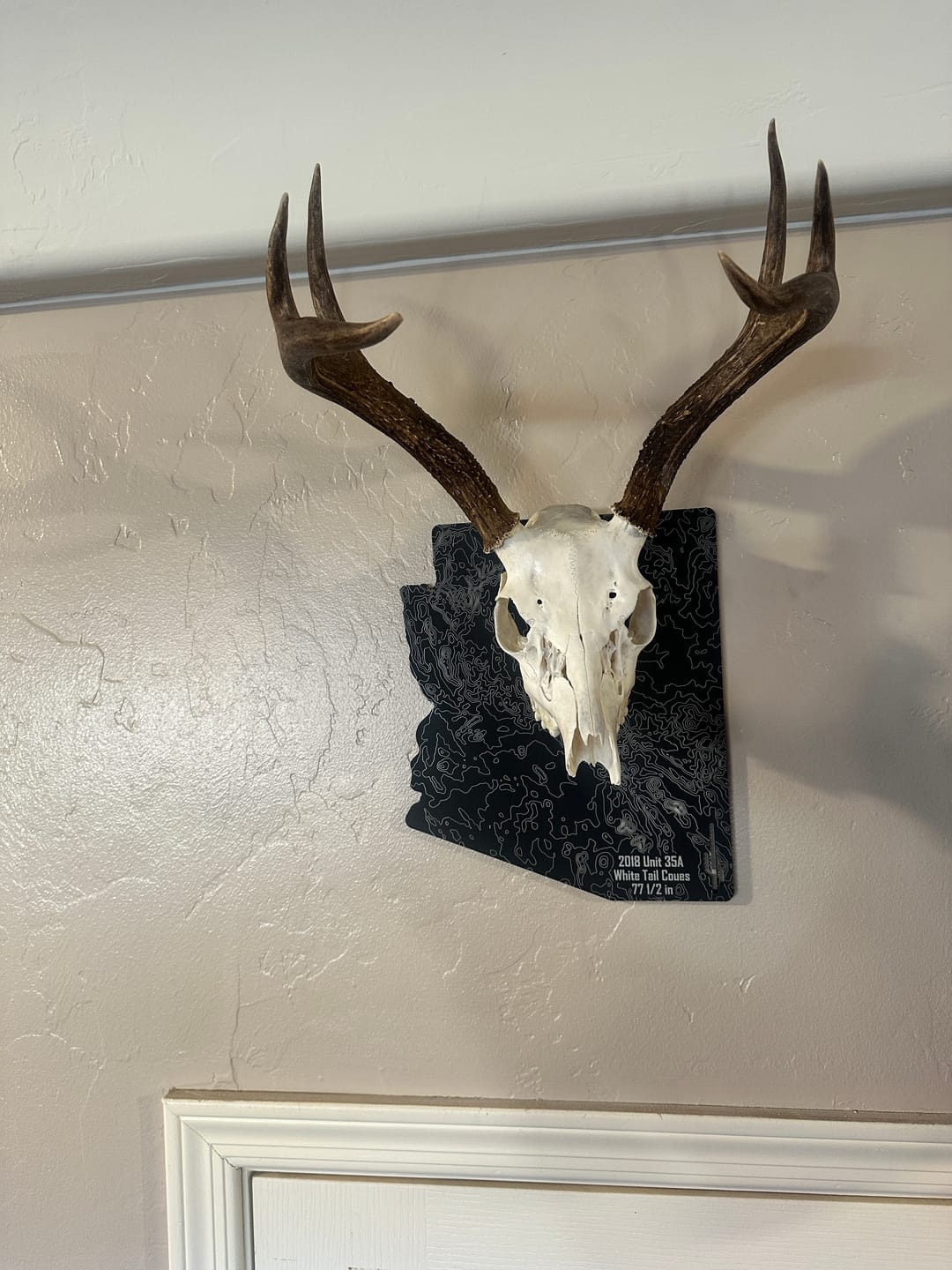 Customer photo review of Medium Game Plaques